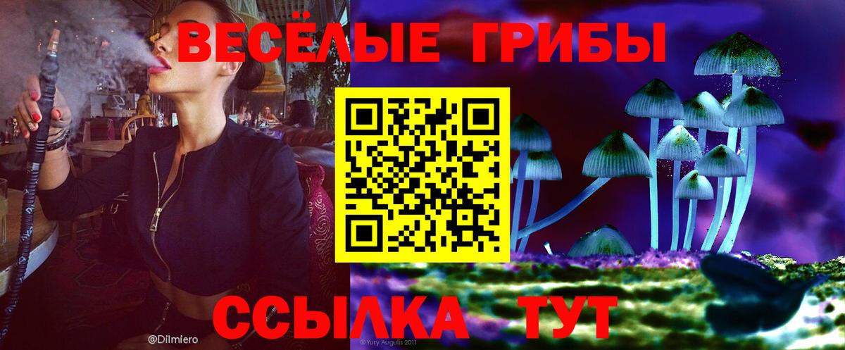 Галлюциногенные грибы прущие грибы  Вход с VPN  Бердск 